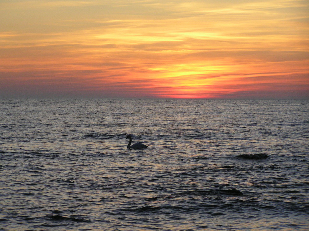 Nomand in the sea