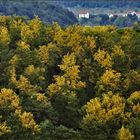 Non , ce n est pas l automne au canada ....