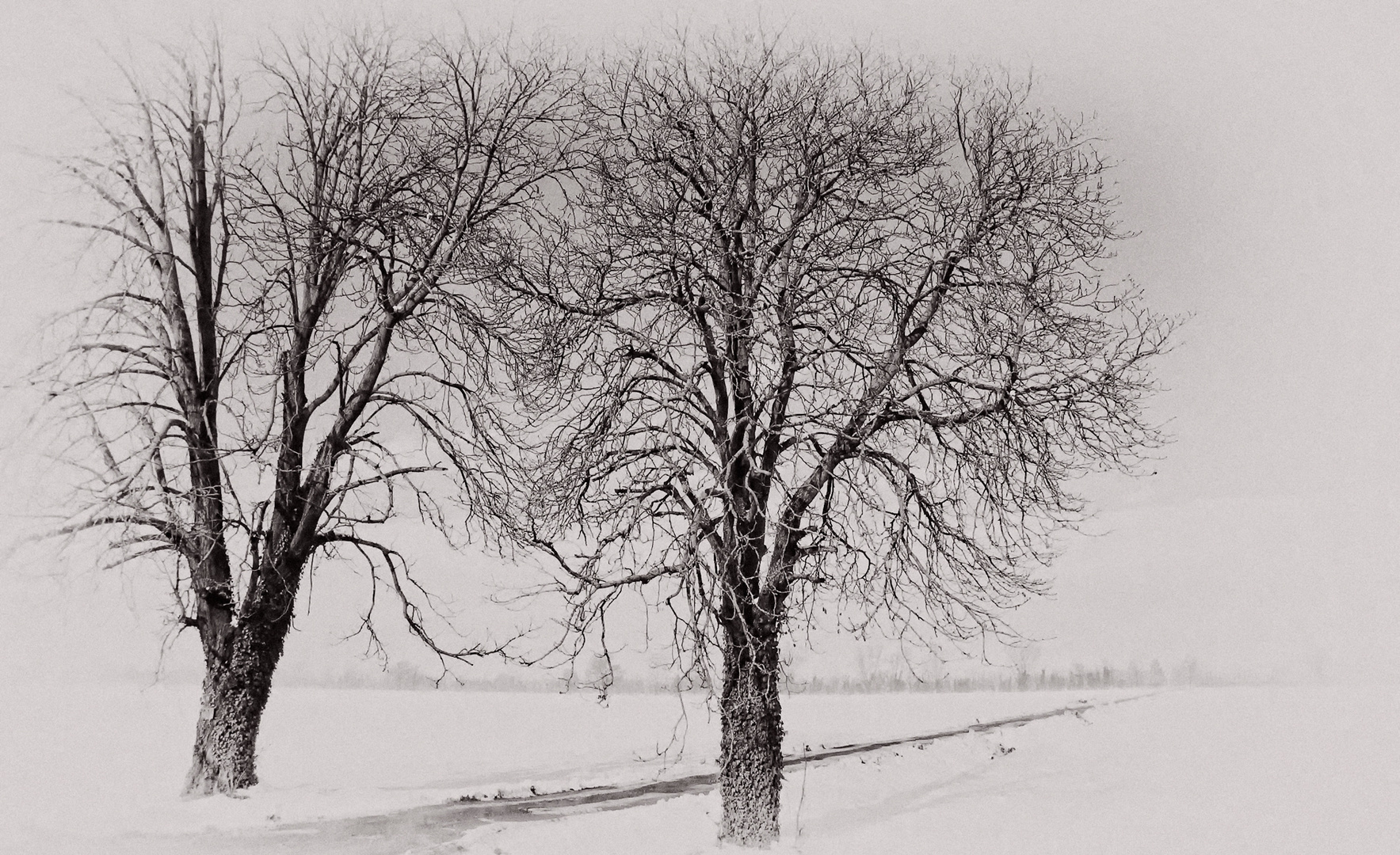 Non ci sono più le belle nevicare di una volta....