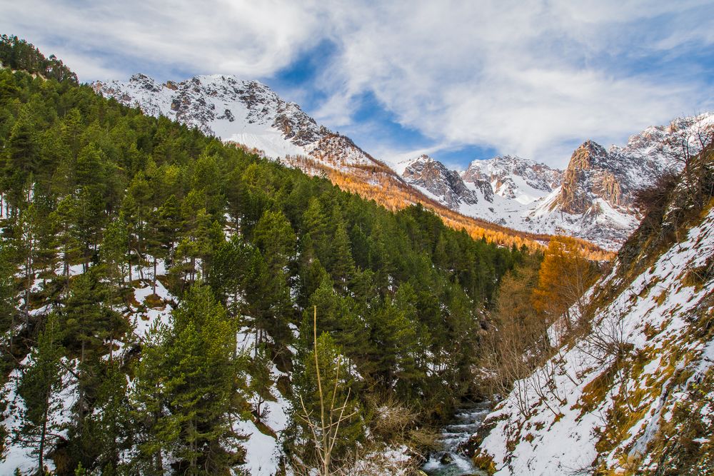 Non è ancora inverno, non è piu autunno