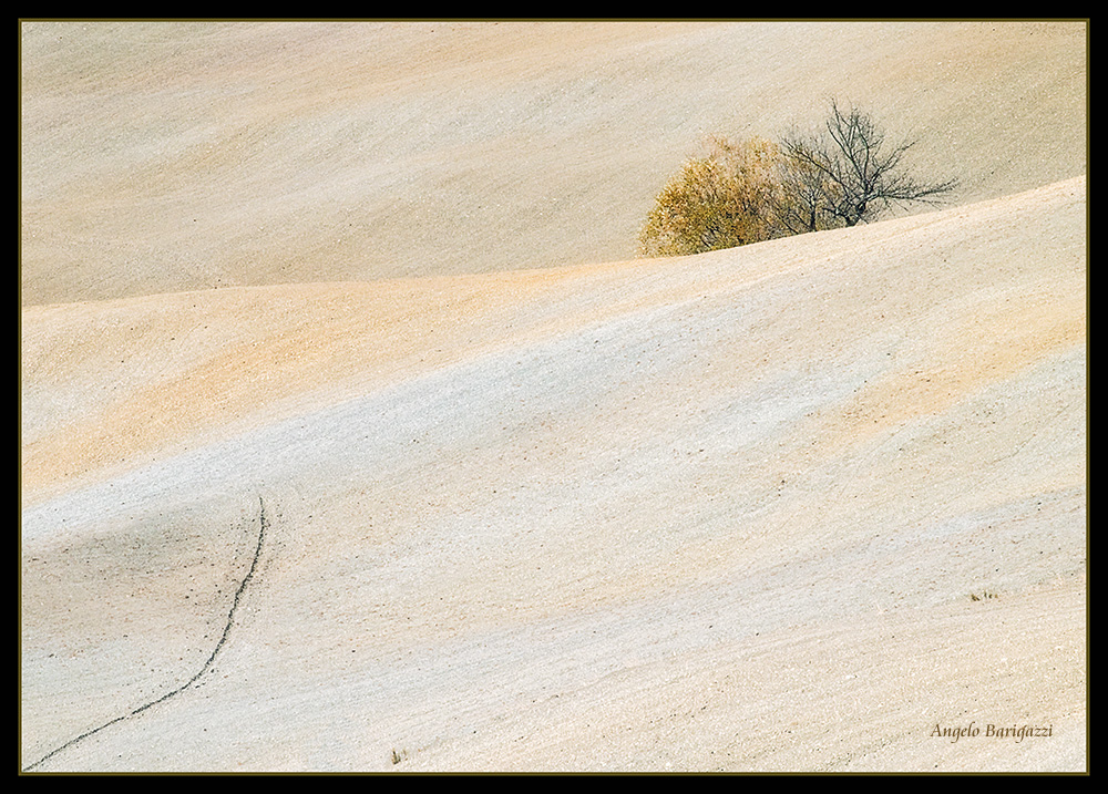 Non è il deserto