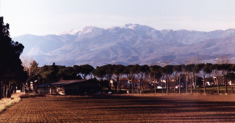 Non è l'Africa, sono solo le Cascine di Tavola.