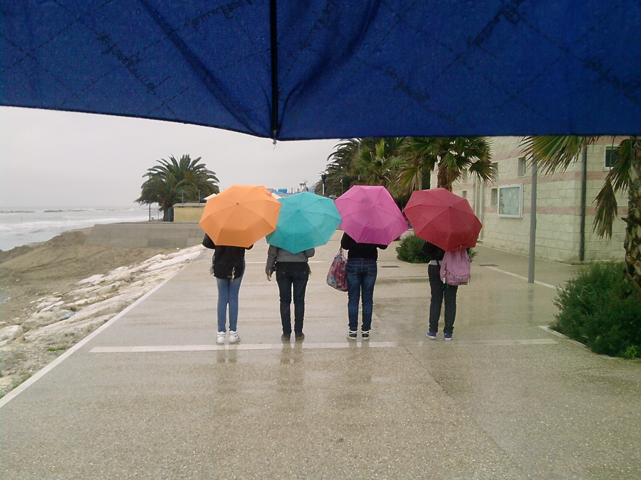 Non è sempre tutto grigio quando piove....