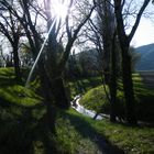 non loin des bords du Rhône entre Rhône et Ardèche