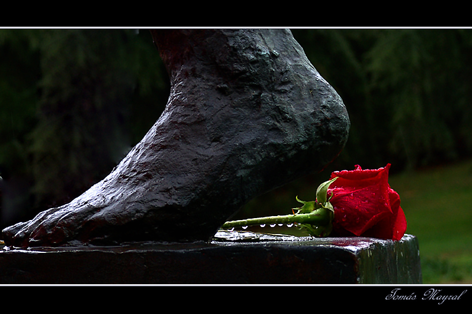 Non marcher sur les fleurs