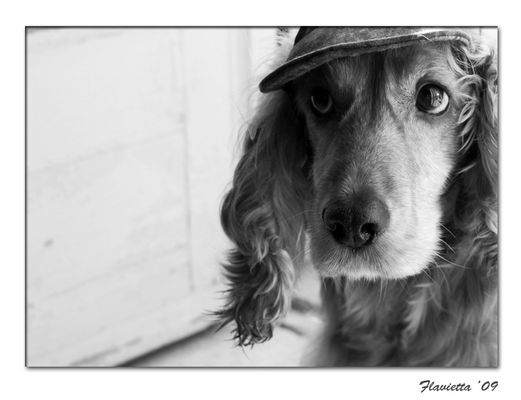 non mi piace questo cappellino :(