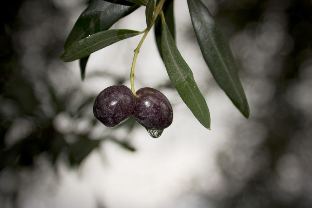 Non piangere. di Fulvia Finelli 