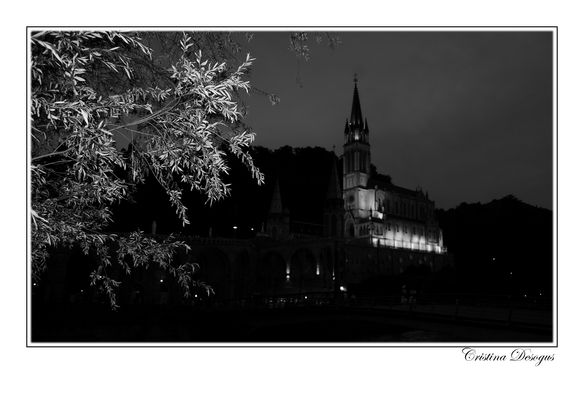 Non solo speranza...