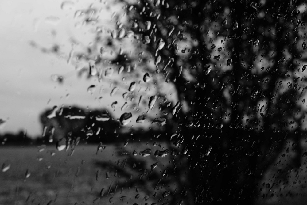 Non Soltanto Fuori Piove