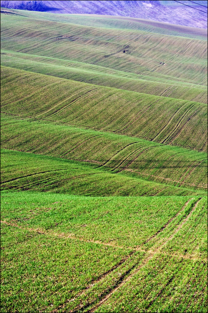 Non sono le crete senesi ...