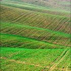 Non sono le crete senesi ...