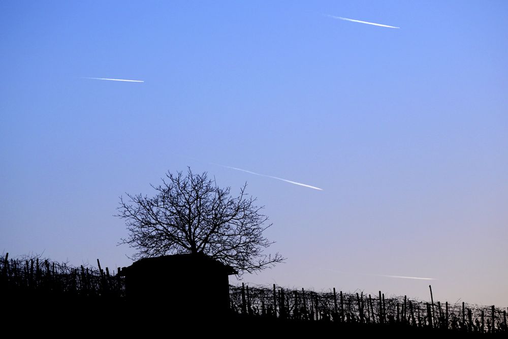 Non sono stelle cadenti