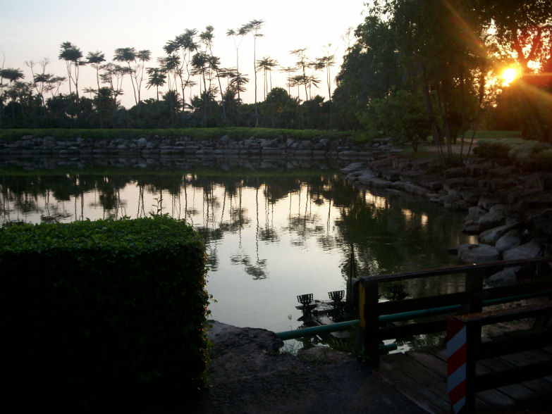 nong nooch