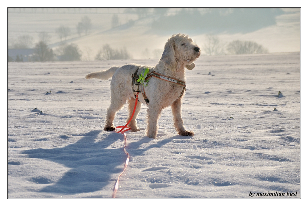 Nonna im Schnee