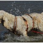 Nonna liebt das Wasser