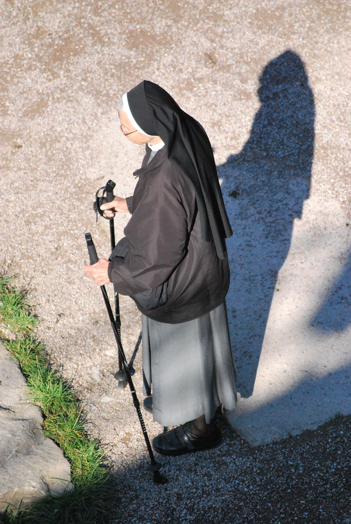 Nonne beim Nordic Walking