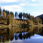 Nonnemattweiher, Westufer, Spiegelung in der Nachmittagssonne