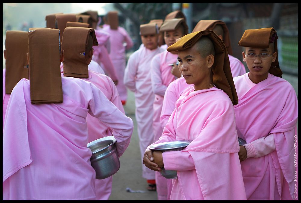 Nonnen beim Morgenrundgang, Myanmar/Burma 2012