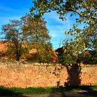 Nonnenhof Mauerbegrenzung im Herbst