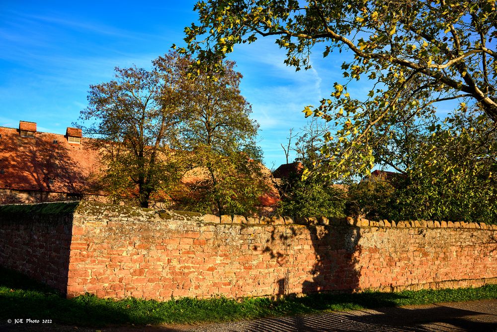 Nonnenhof Mauerbegrenzung im Herbst