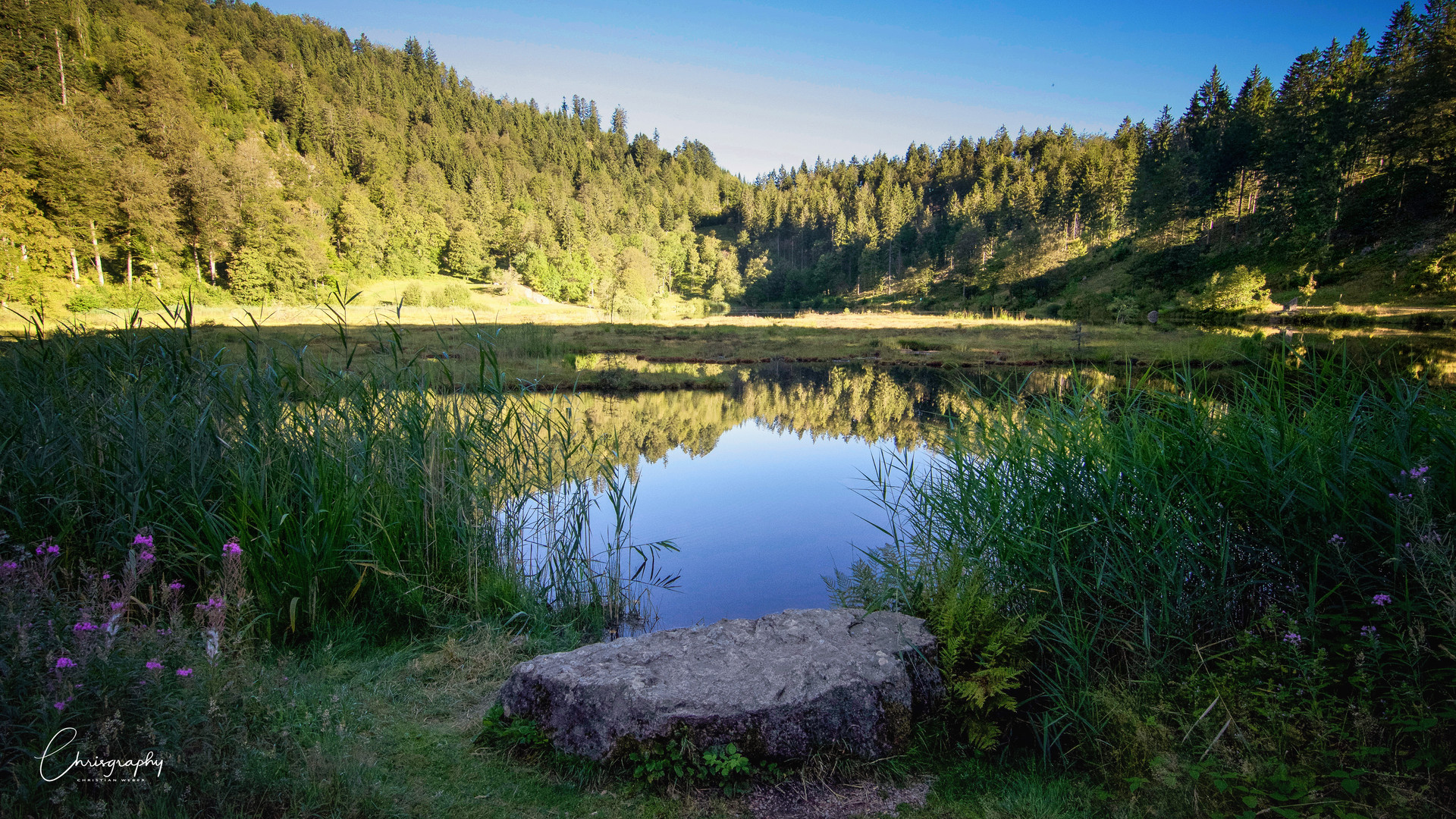 Nonnenmattweiher