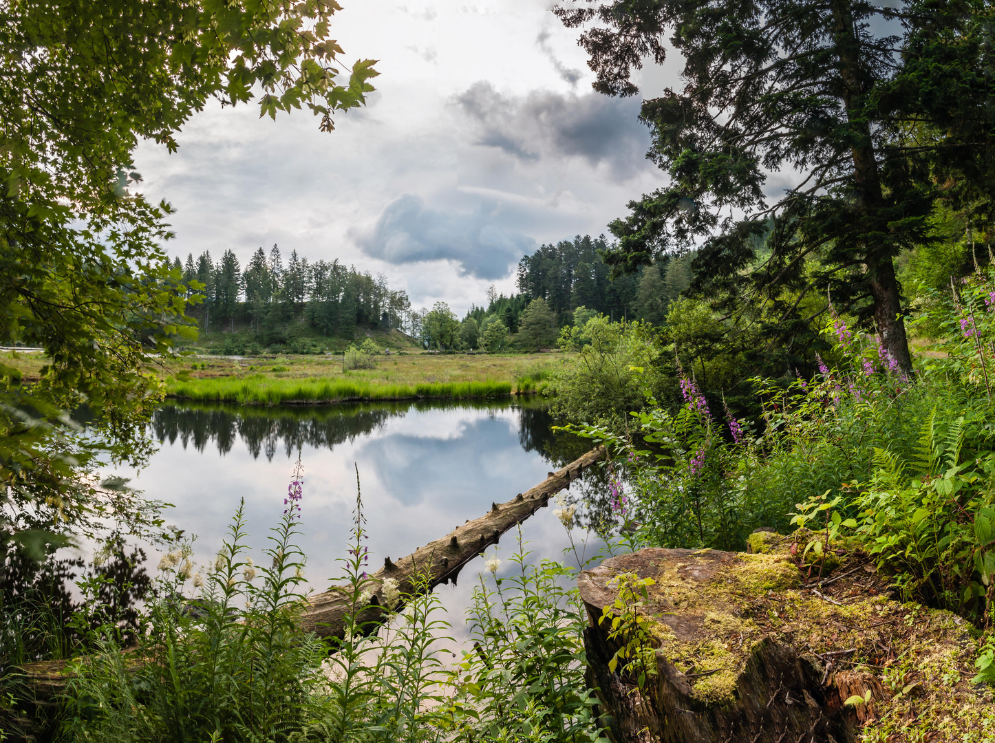 Nonnenmattweiher 2