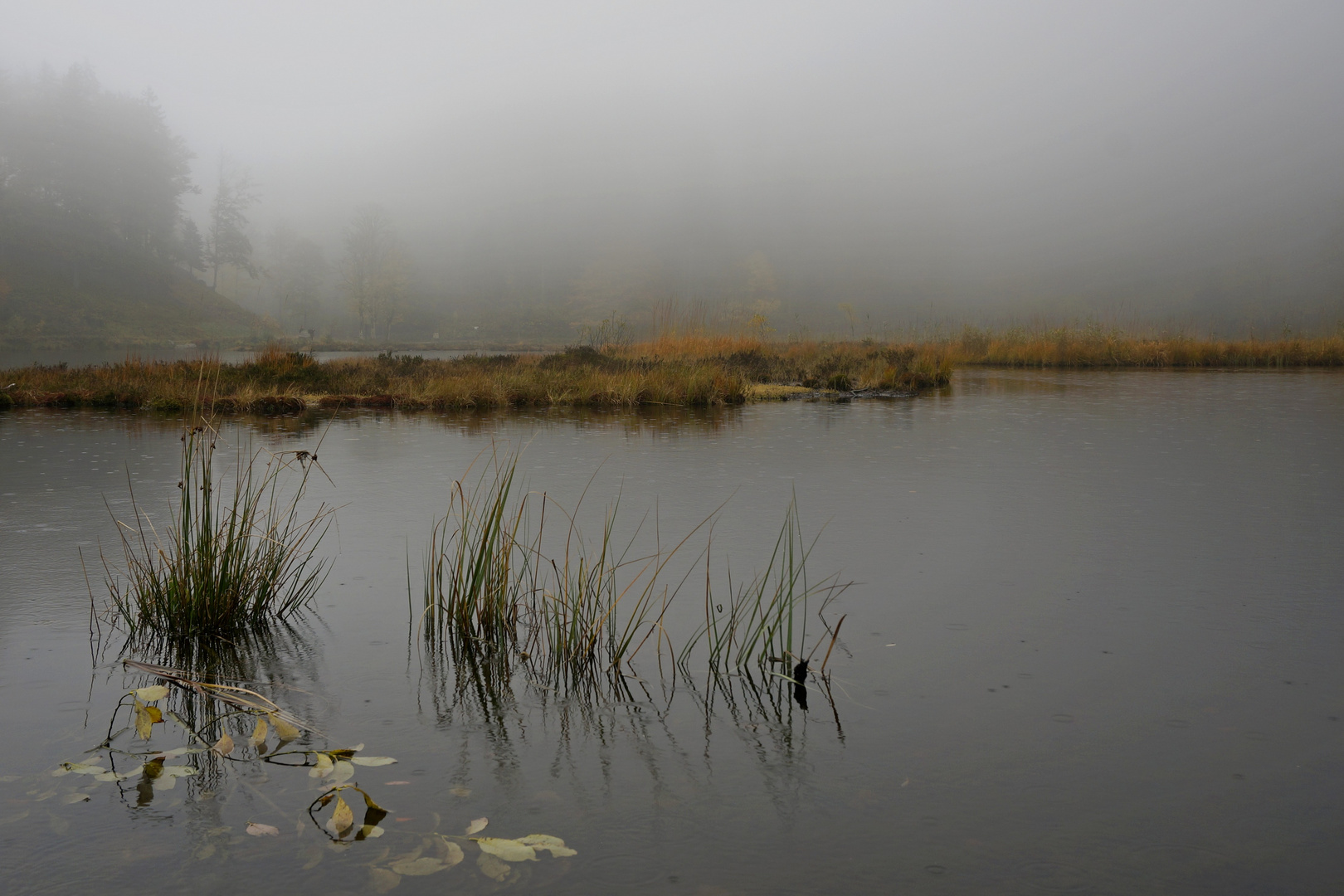 Nonnenmattweiher 2