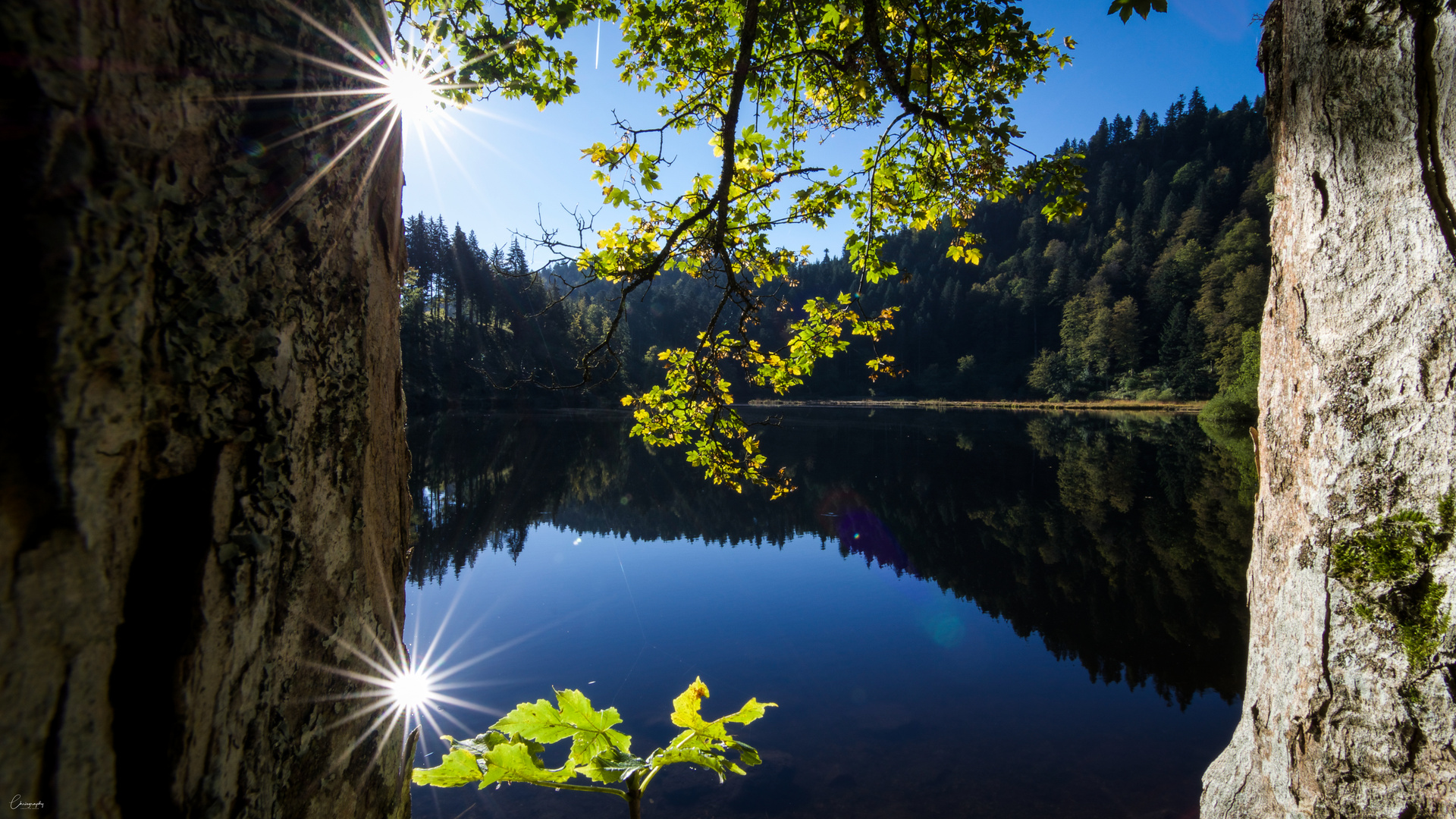 Nonnenmattweiher