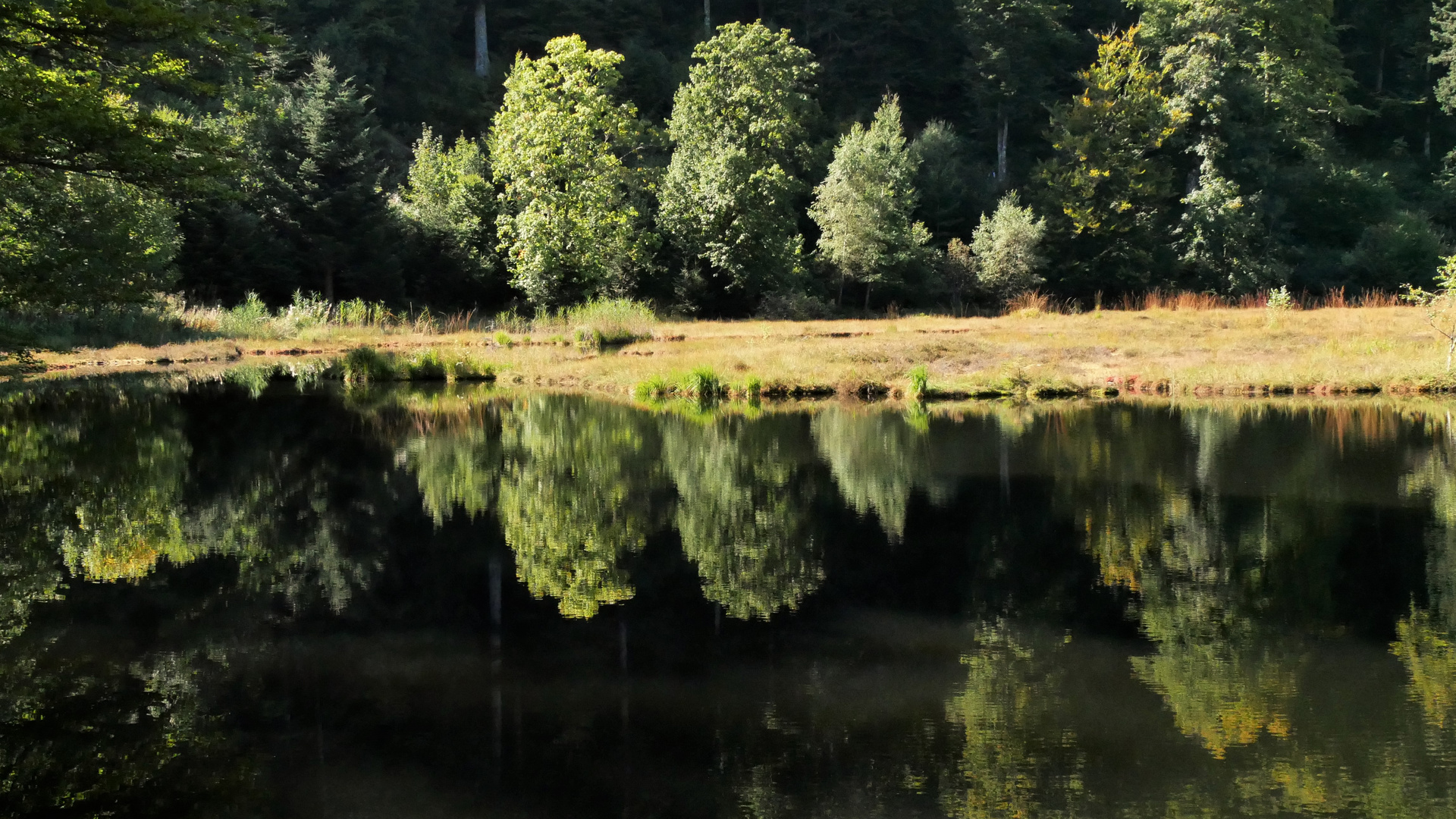 Nonnenmattweiher