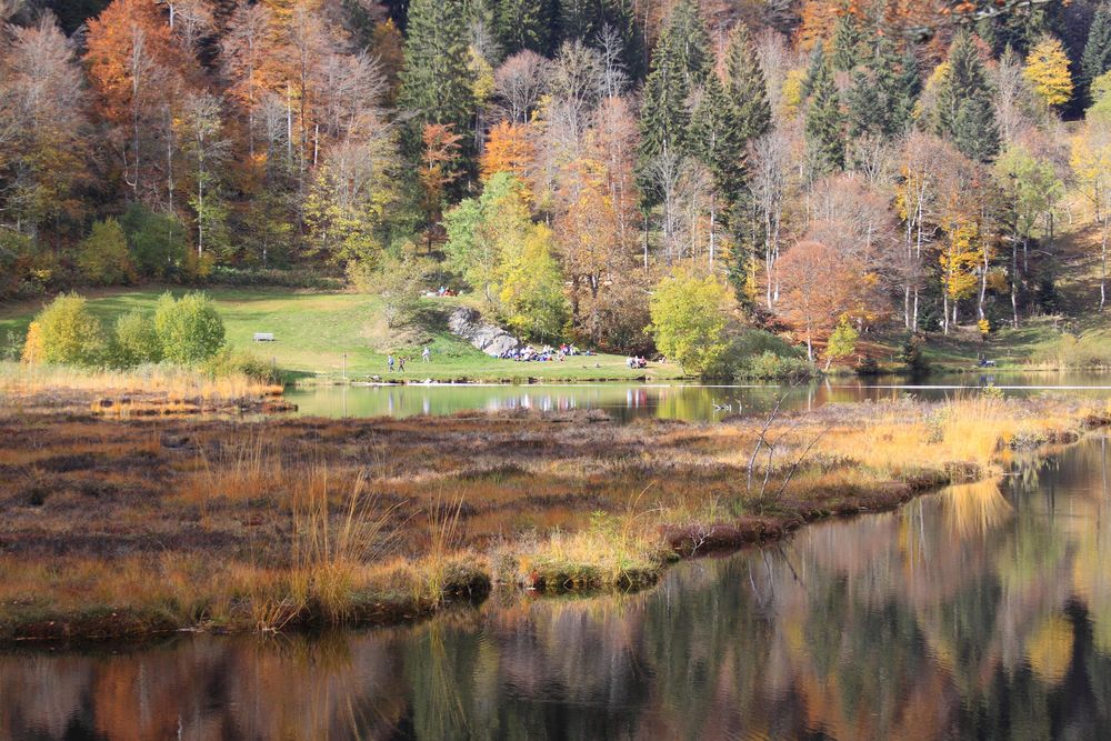 Nonnenmattweiher