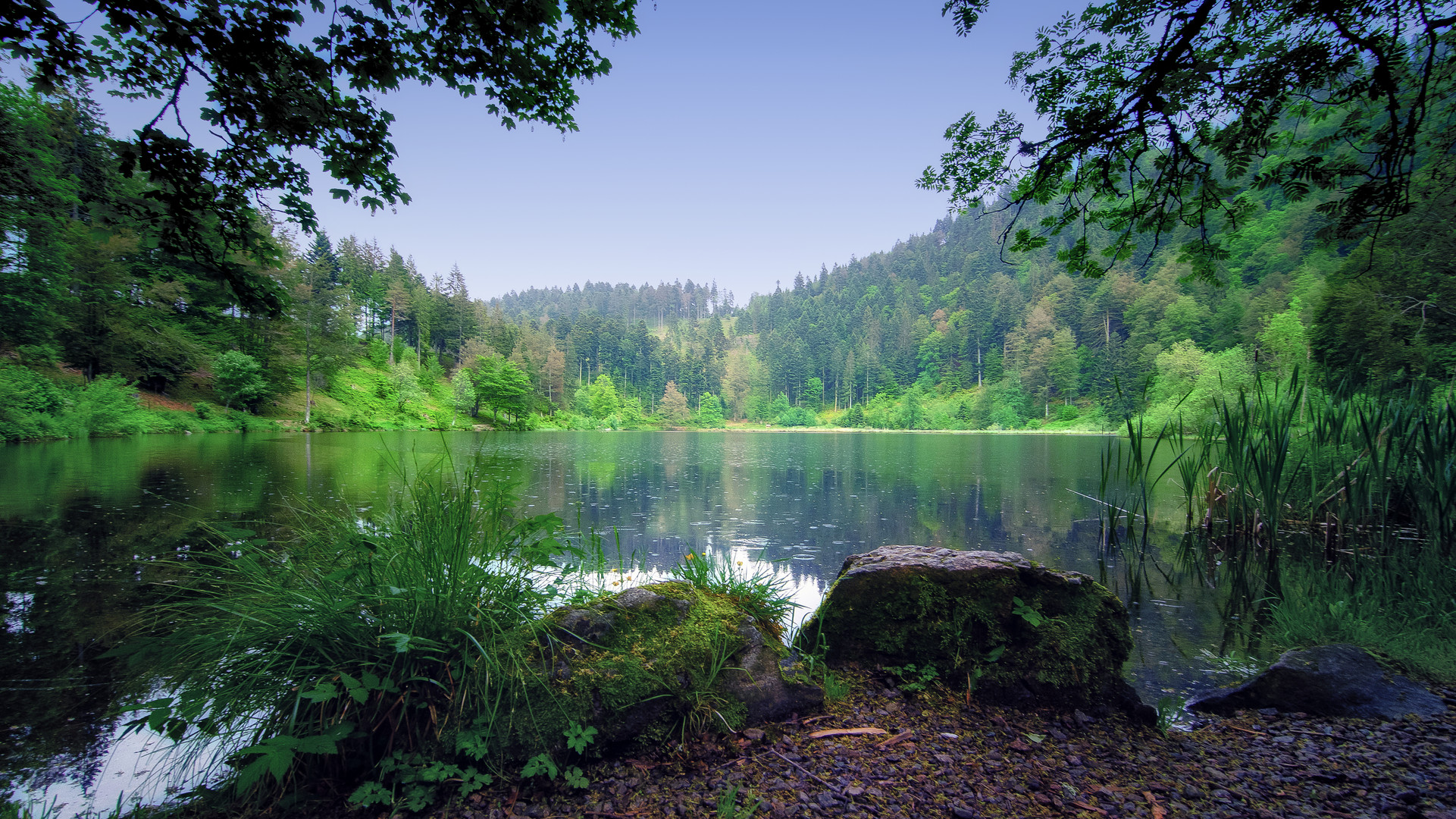 Nonnenmattweiher