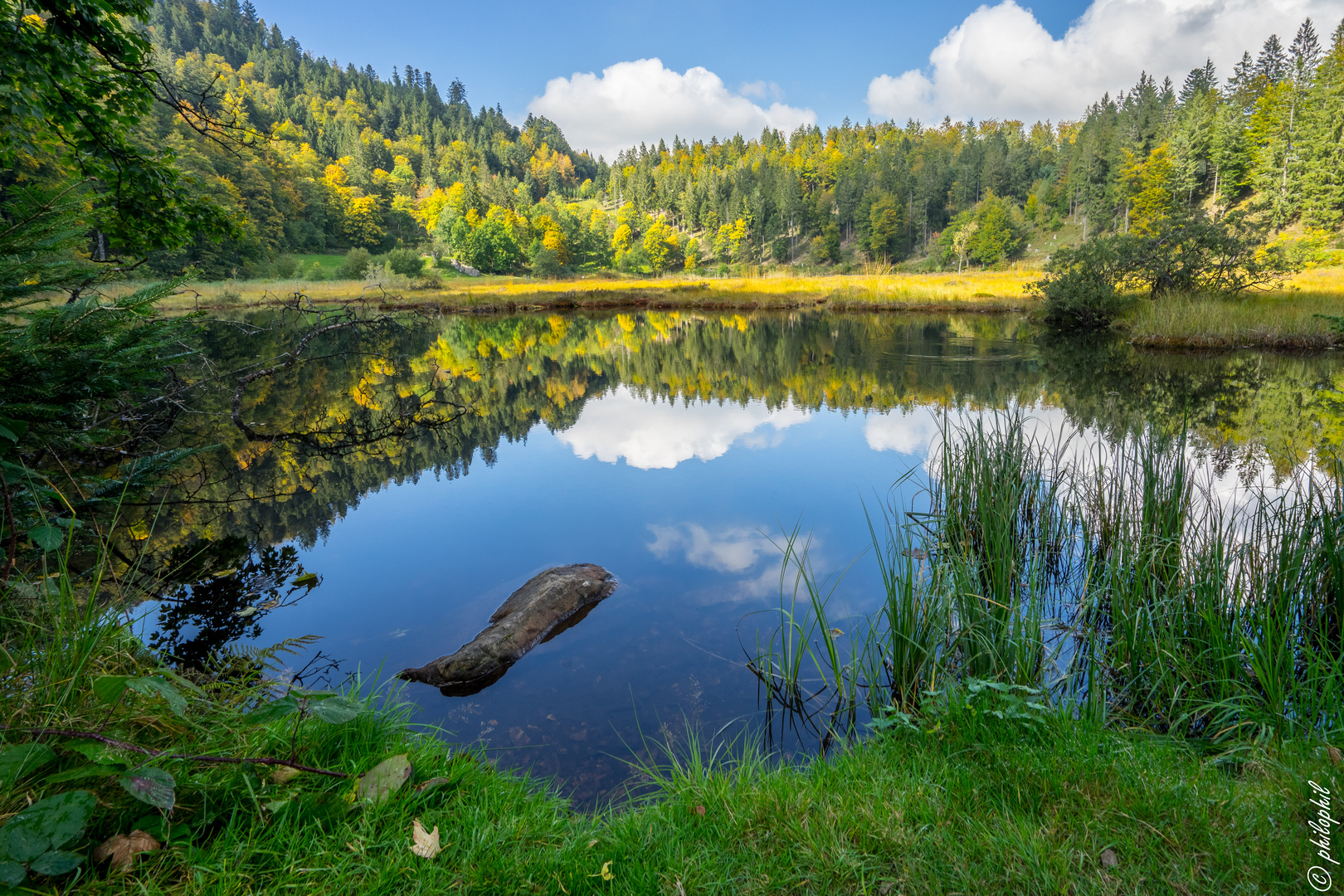 Nonnenmattweiher