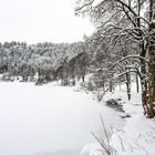 Nonnenmattweiher