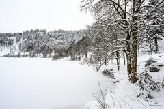 Nonnenmattweiher