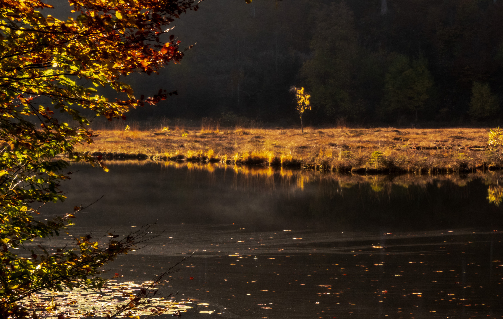 Nonnenmattweiher Herbst 1