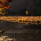 Nonnenmattweiher Herbst 1