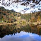 Nonnenmattweiher, Herbststimmung