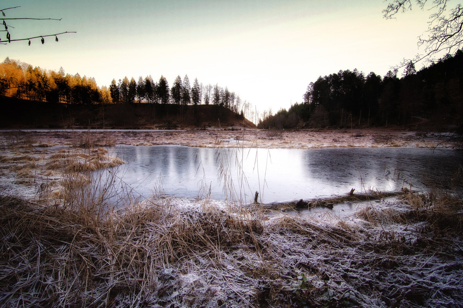 Nonnenmattweiher im Eis