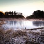 Nonnenmattweiher im Eis