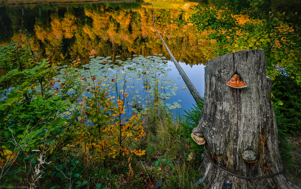 Nonnenmattweiher im Herbst 01