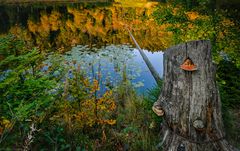 Nonnenmattweiher im Herbst 01