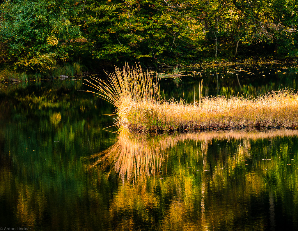 Nonnenmattweiher im Herbst 02