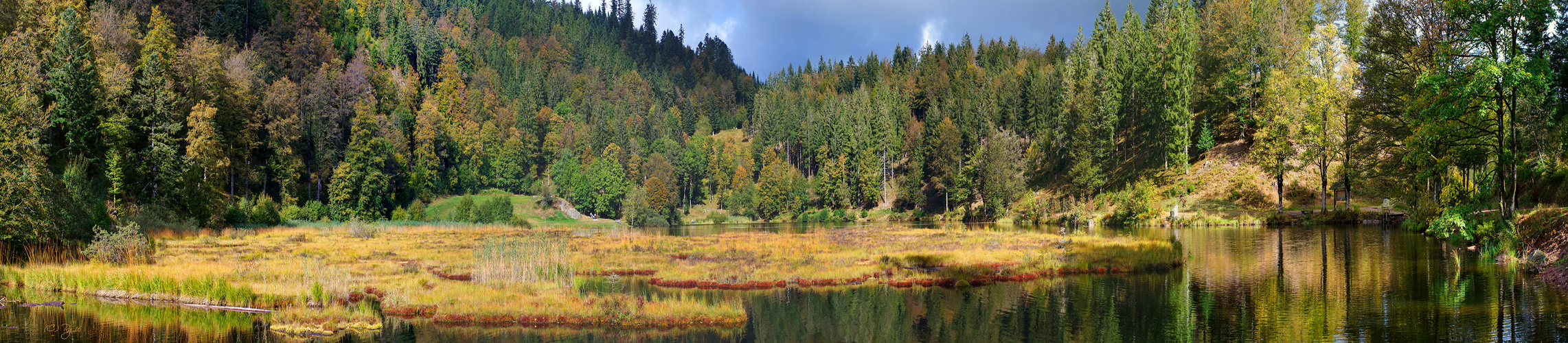 nonnenmattweiher im herbst