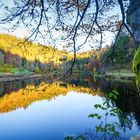 Nonnenmattweiher im Herbst