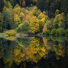 Nonnenmattweiher im Herbstkleid