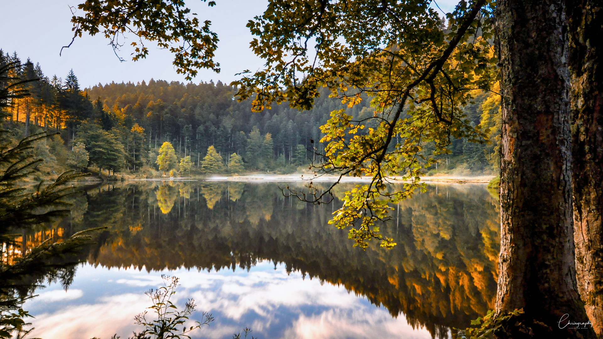 Nonnenmattweiher im Herbstkleid