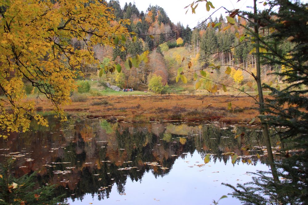 Nonnenmattweiher im kleinen Wiesental ...