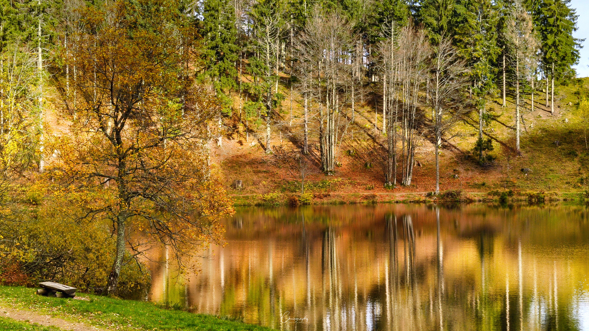 Nonnenmattweiher im November