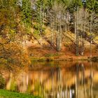 Nonnenmattweiher im November