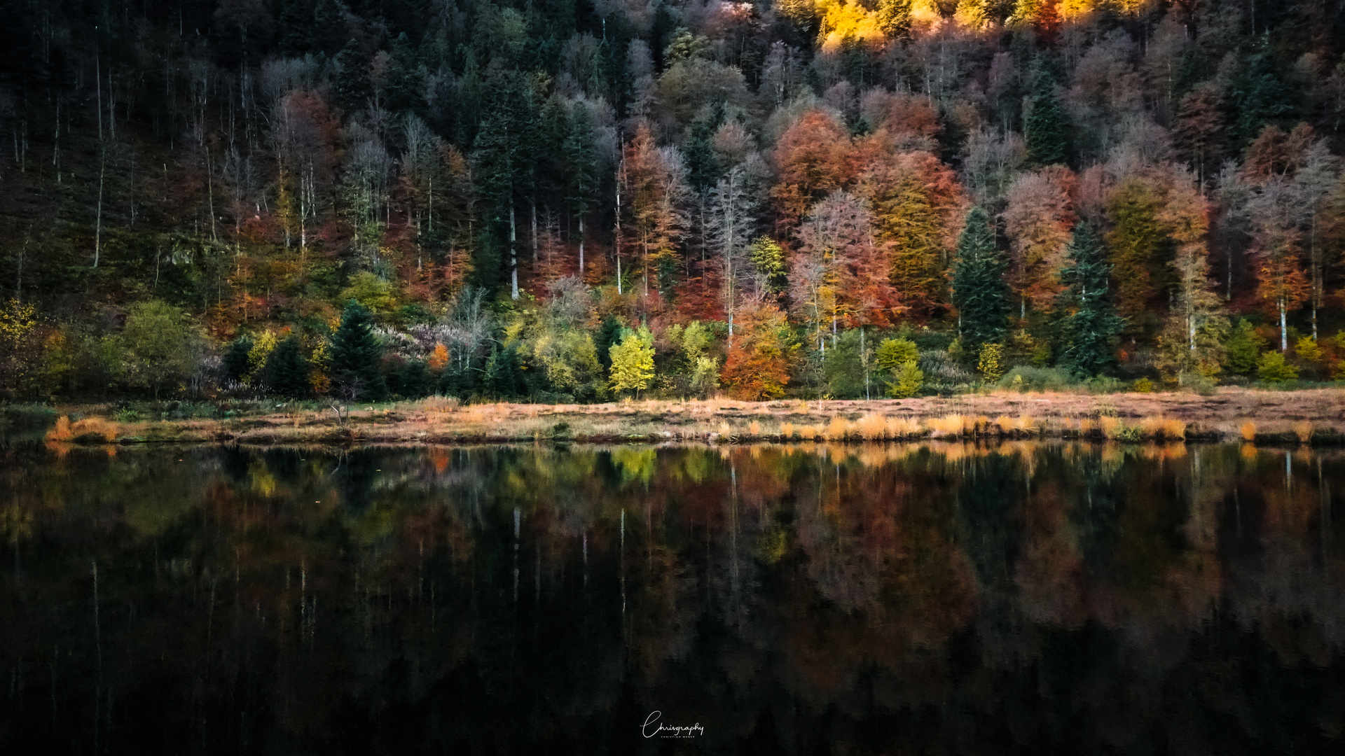 Nonnenmattweiher im Oktober